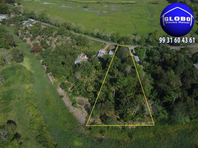 Terreno en venta Quinta, Rancheria Buenavista 3ra. Sección, arboles frutales