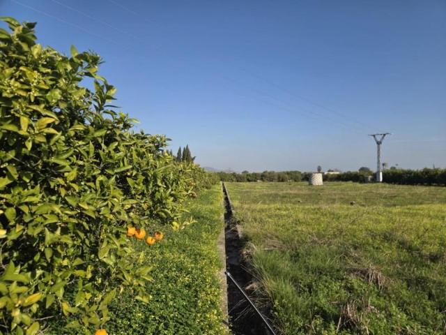 Terreno en venta en la Safor, Valencia