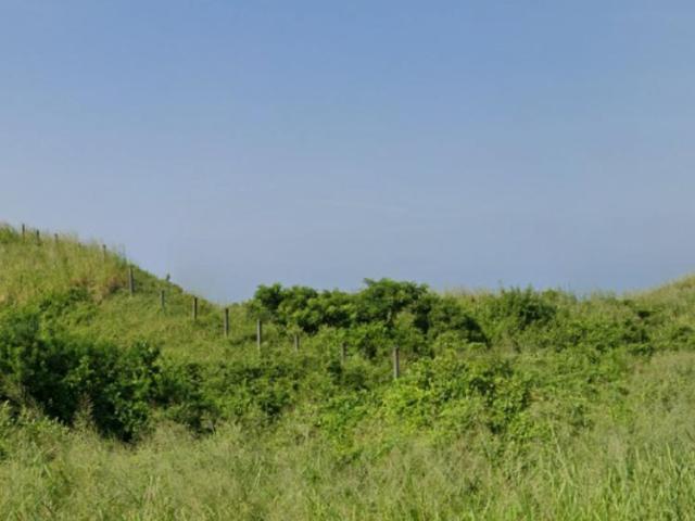 Terreno en renta en Alvarado, Veracruz