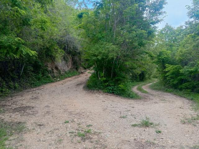 Terreno en venta en Boca De Uchire, Miranda
