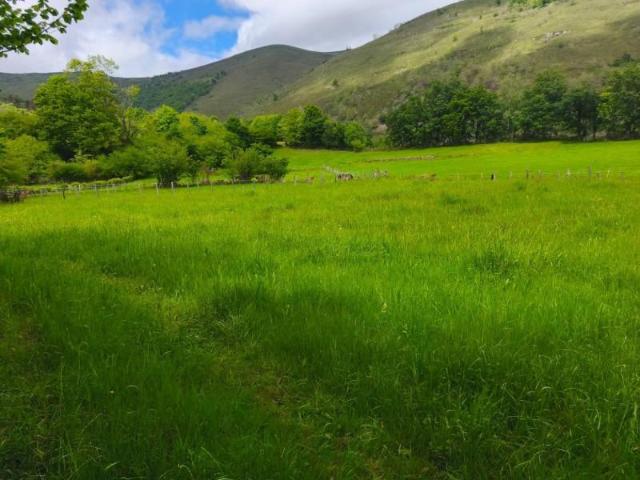 Terreno en venta en Rionansa, Cantabria