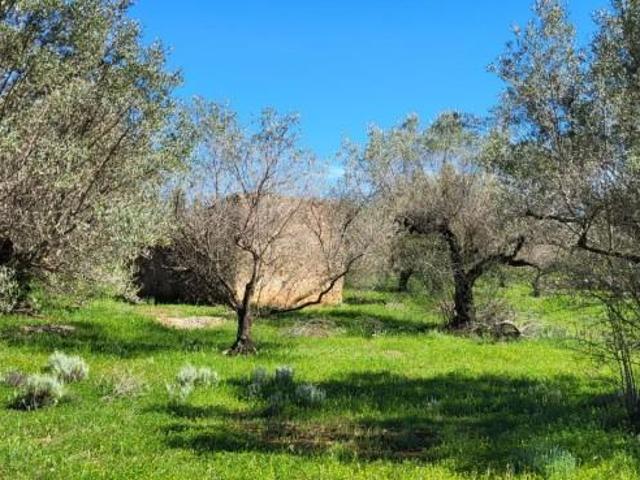 Terreno en venta en Baix Ebre, Catalunya