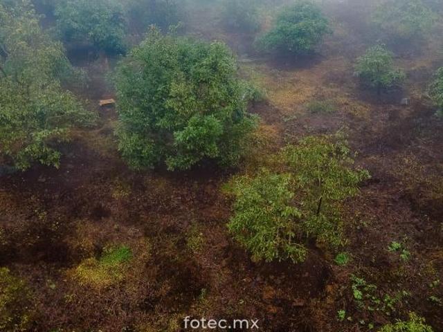 Terreno en Venta 11Ha, San Andrés Calnali, Hidalgo