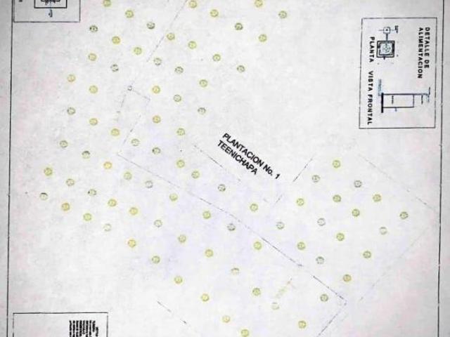 Terreno en Venta 11Ha, San Andrés Calnali, Hidalgo