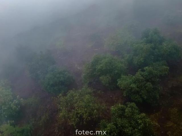 Terreno en Venta 11Ha, San Andrés Calnali, Hidalgo