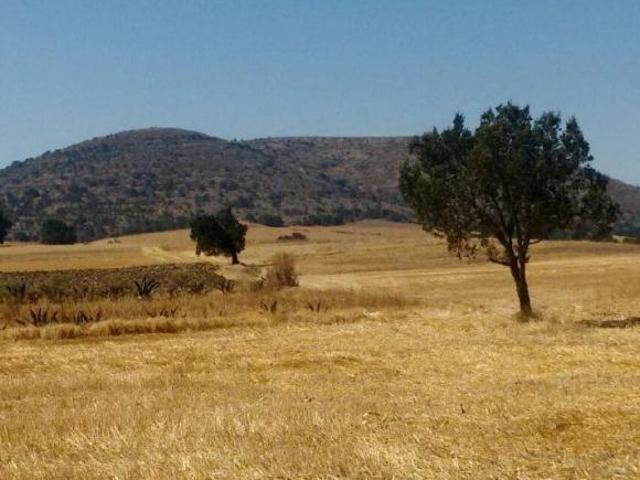 Terreno en venta en Calpulalpan, Tlaxcala