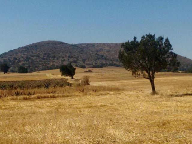 Terreno en venta en Calpulalpan, Tlaxcala
