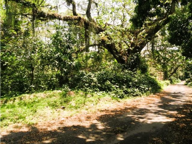 Terreno en venta en San Felipe, Yaracuy