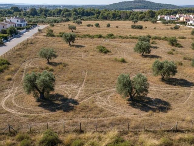 Terreno en venta en l'Alacantí, Valencia