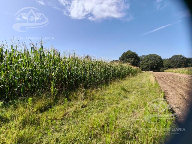 Terreno en venta en Chiautempan, Tlaxcala