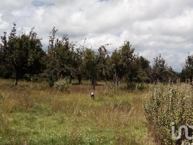Terreno en venta en San Salvador El Verde, Puebla
