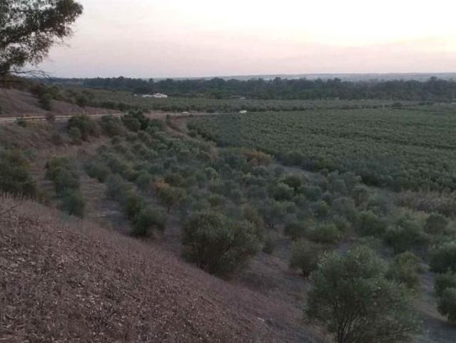 Terreno en venta en Sanlúcar La Mayor, Andalucía