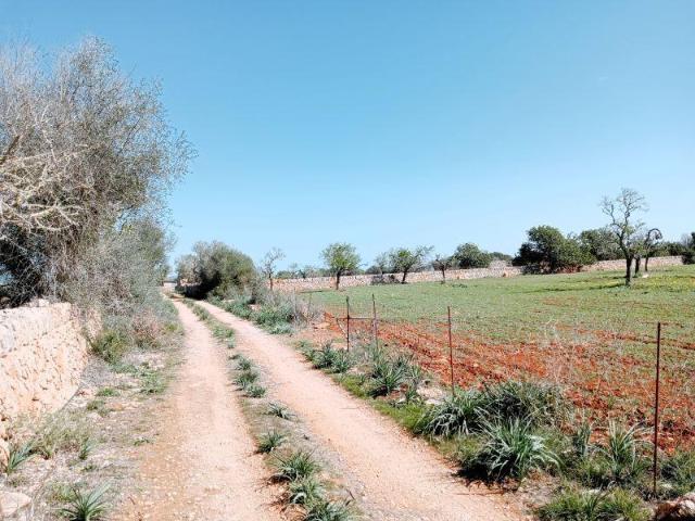 Terreno en venta en Cala Santanyí, Migjorn