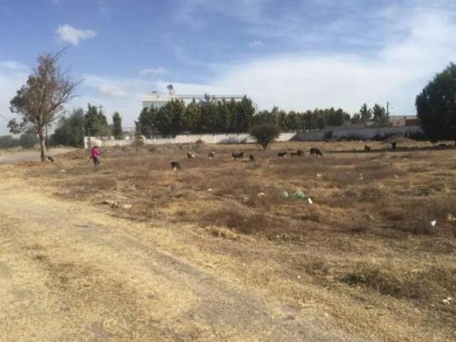 Terreno en venta en Teotihuacán, Estado de México