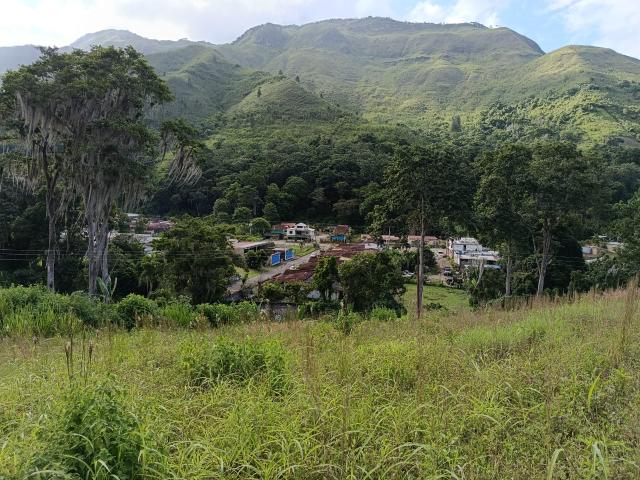 Terreno en venta en El Perú, Caripe