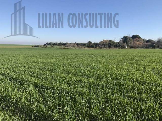 Terreno en venta en Nervión, Sevilla