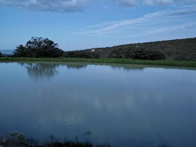 Terreno en venta en San Felipe, Guanajuato
