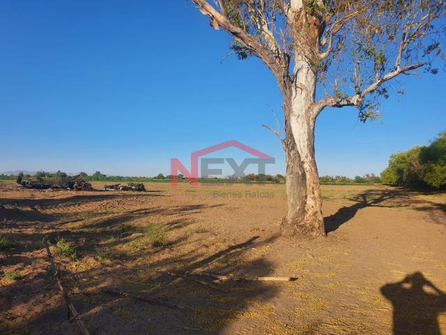 Terreno en venta en La Yesca, Hermosillo