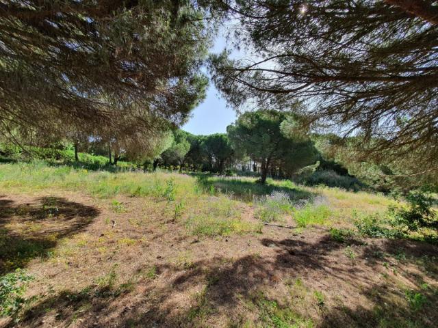 Terreno en venta en Soto Alto, Campo de Gibraltar