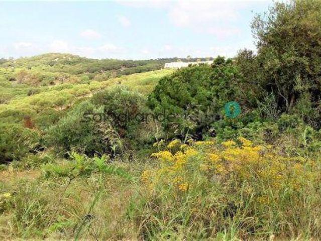 Terreno en venta en Pueblo Nuevo, Campo de Gibraltar