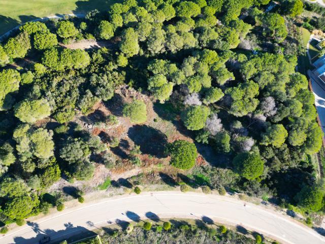 Terreno en venta en Campo de Gibraltar, Andalucía