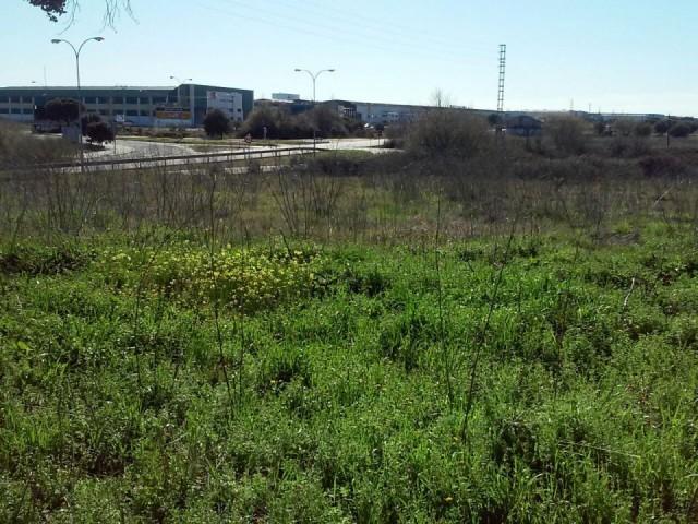 Terreno en venta en El Casar de Talavera, Talavera De La Reina