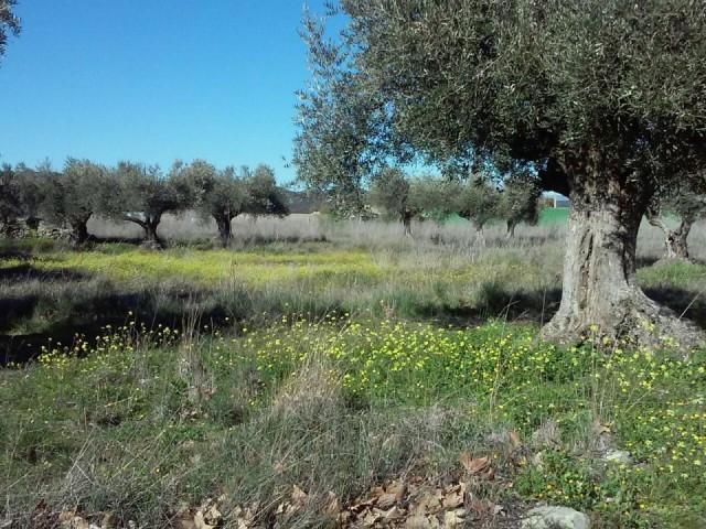 Terreno en venta en El Casar de Talavera, Talavera De La Reina
