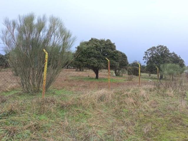 Terreno en venta en Talavera De La Reina, Castilla-La Mancha