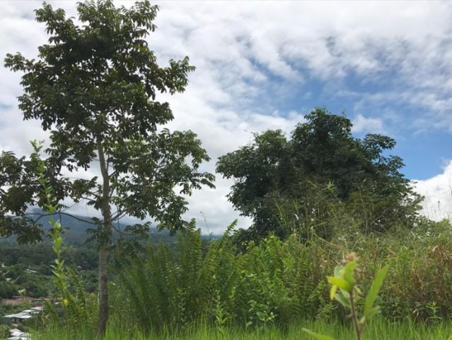 Terreno venta en San Martin