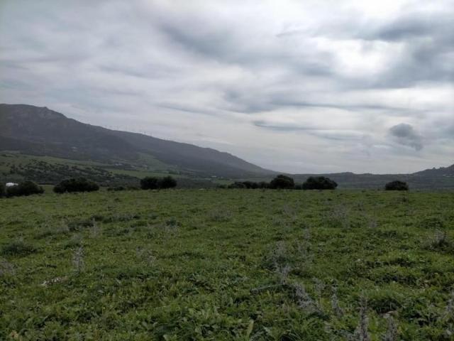 Terreno en venta en Sierra de Cádiz, Andalucía