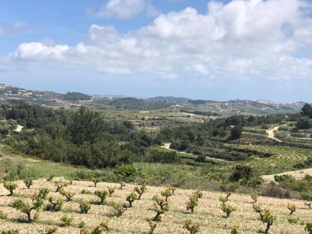 Terreno en venta en Benimeit, la Marina Alta