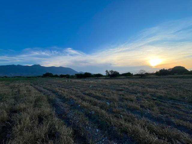 Terreno en venta en TLACOLULA, Tlacolula