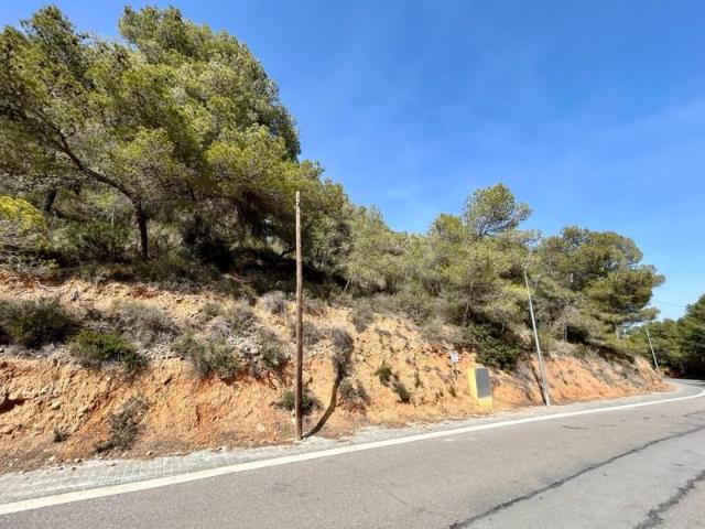 Terreno en venta en Alt Penedès, Catalunya