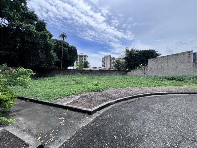 Terreno en venta en Portuguesa