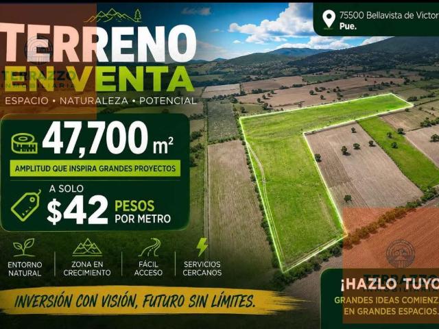 Terreno en venta en Palmar de Bravo