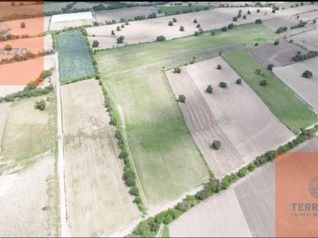 Terreno en venta en Palmar De Bravo, Puebla
