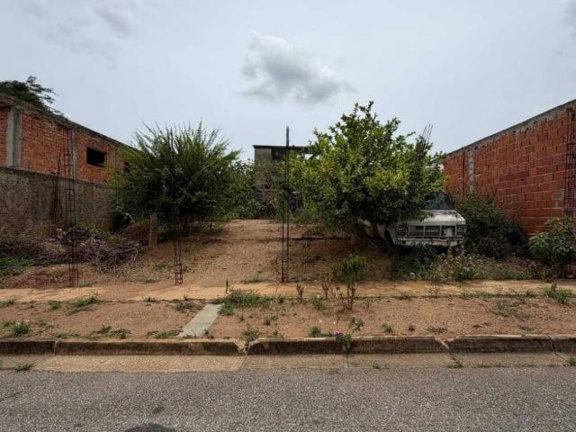 Terreno en venta en Manongo, Valencia