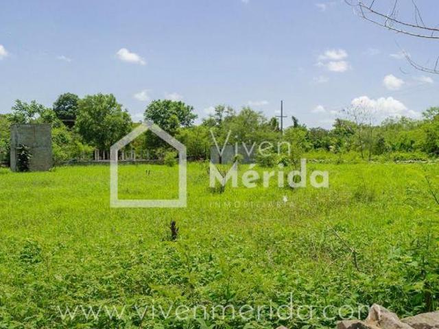 Terreno en venta a las afueras de Tetiz Yucatán