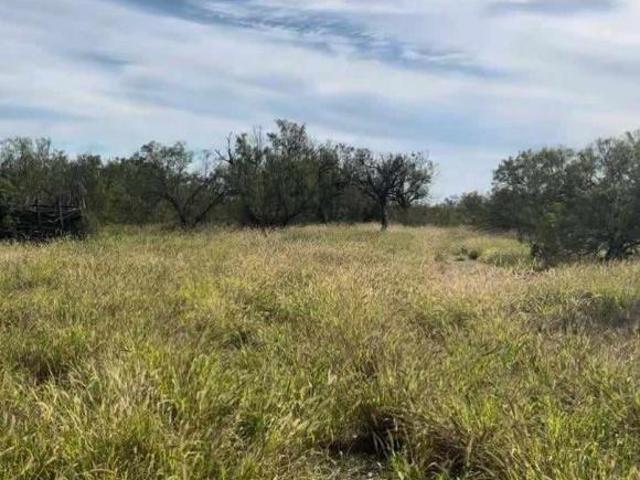 Rancho en venta en Vallecillo, Nuevo León