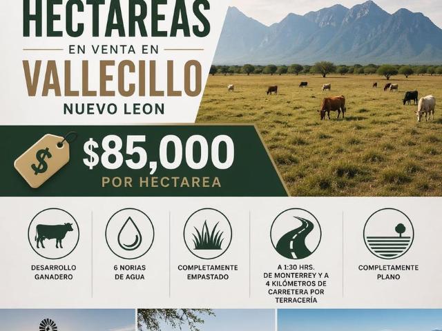Terreno en venta en Vallecillo, Nuevo León