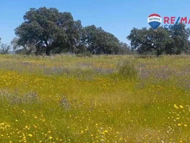 Terreno en venta en Valverde De Mérida, Extremadura