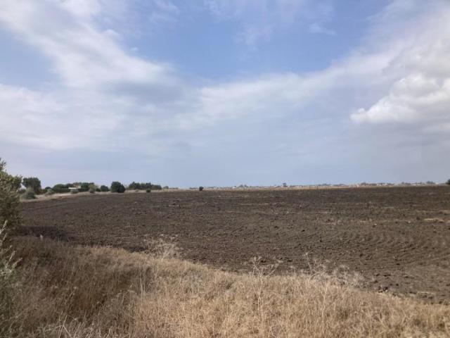 Terreno en venta en El Palmar, La Janda