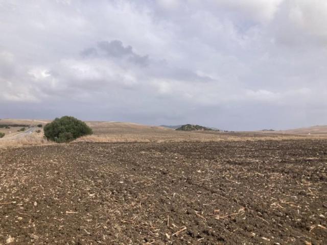 Terreno en venta en El Palmar, La Janda