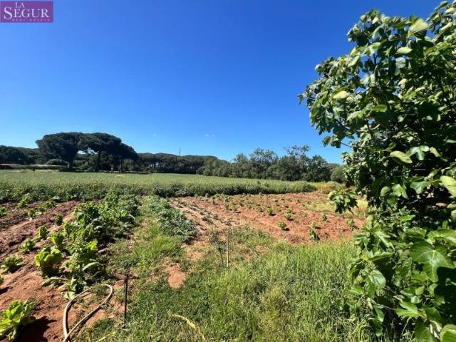 Terreno en venta en La Janda, Andalucía