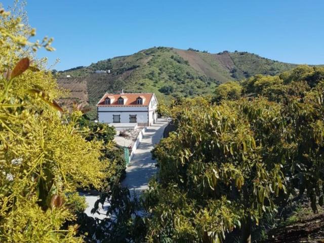 Terreno en venta en Trapiche, La Axarquía