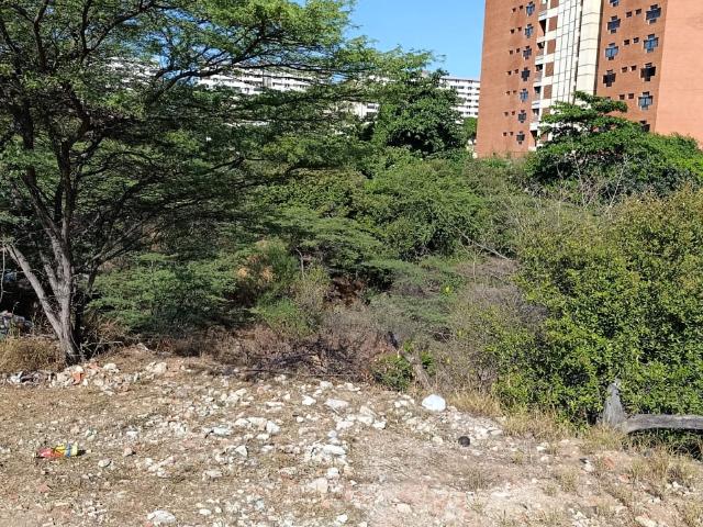 Terreno en venta en Vargas