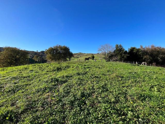 Terreno en venta en Campoo De Enmedio, Cantabria