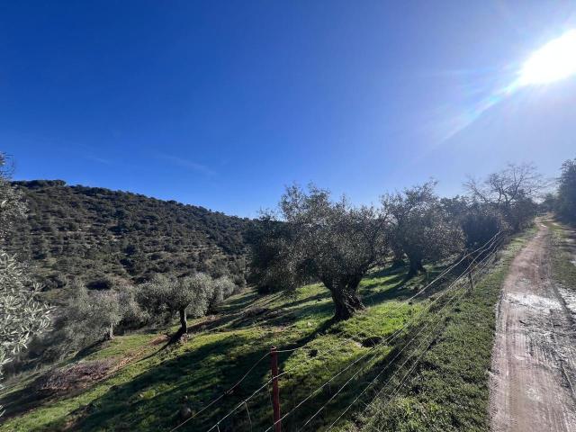 Terreno en venta en El Vínculo, Villanueva del Rey