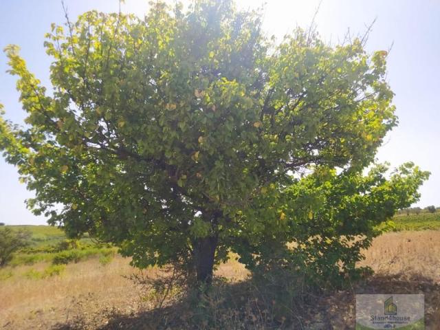 Terreno en venta en El Condado, Andalucía