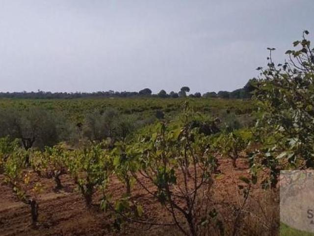 Terreno en venta en El Condado, Andalucía